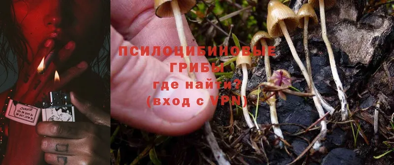 Галлюциногенные грибы Magic Shrooms  Нижняя Тура 